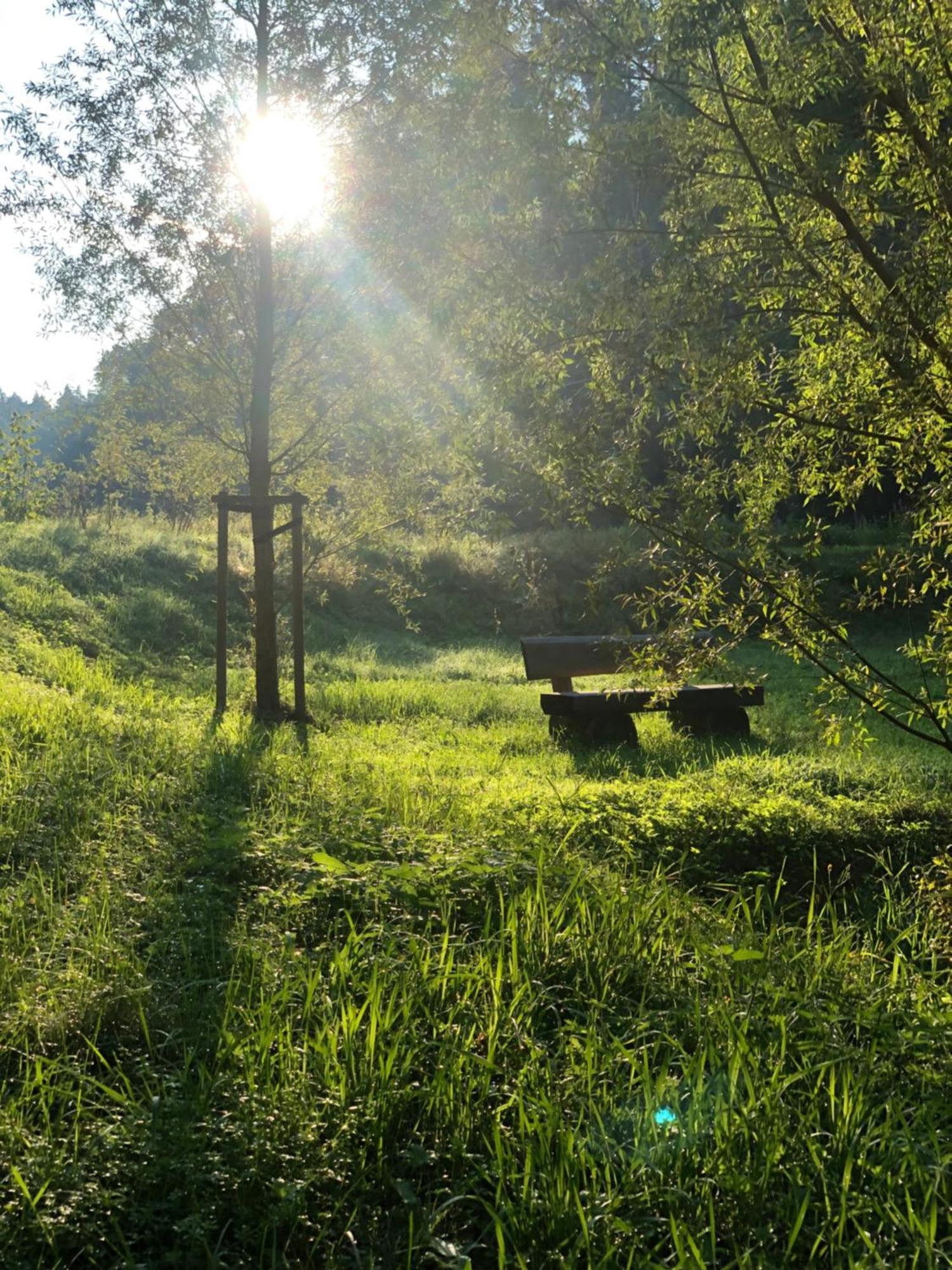 Waldhotel Linzmuehle Kahla  Dış mekan fotoğraf