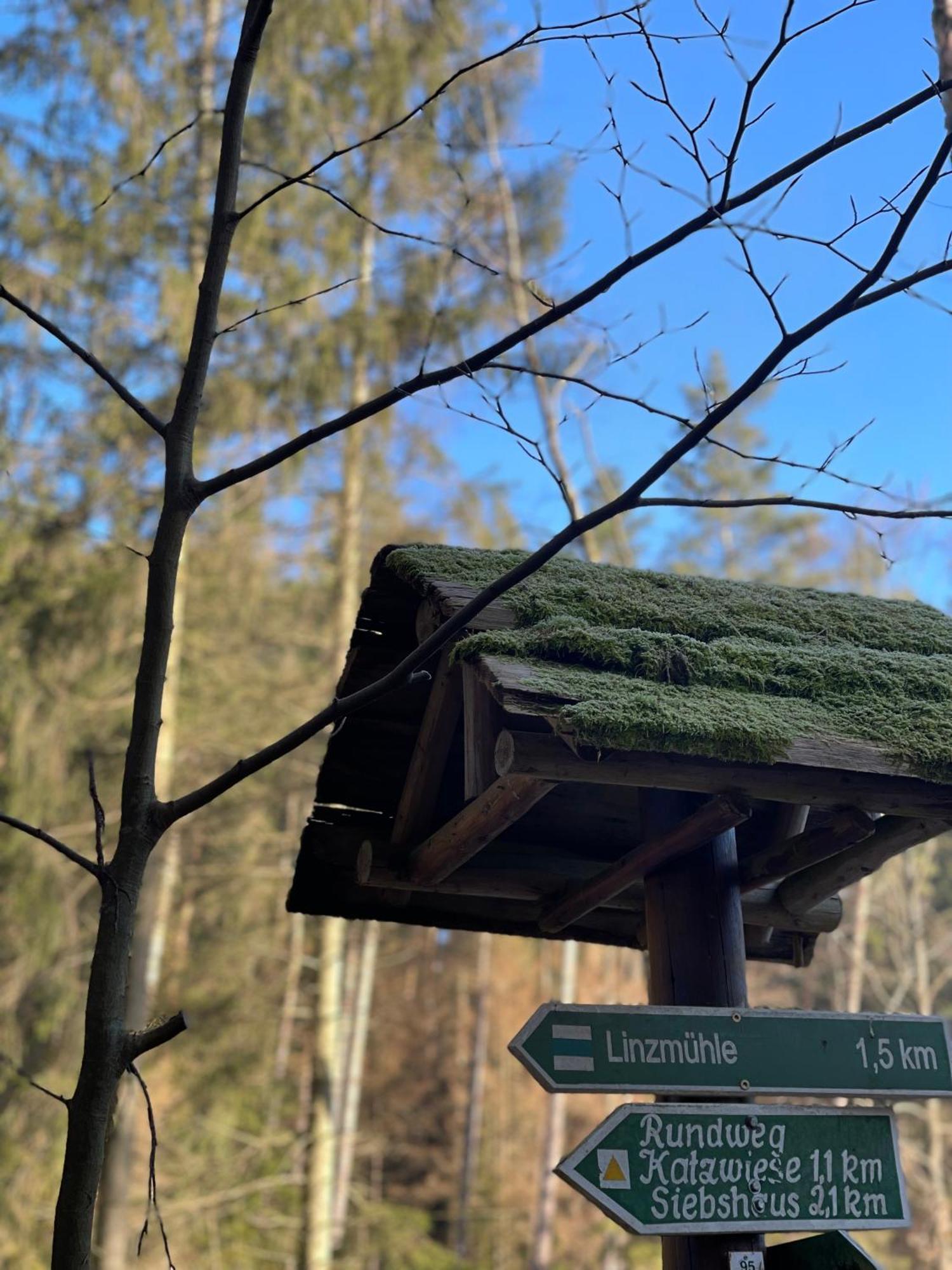 Waldhotel Linzmuehle Kahla  Dış mekan fotoğraf